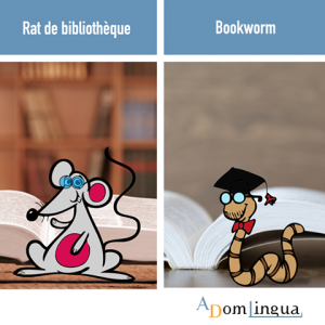 Les proverbes anglais - Rat de bibliotheque